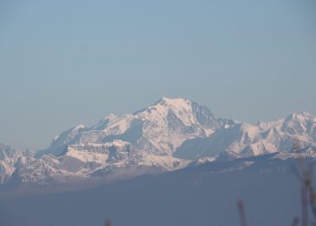 IMG_6908